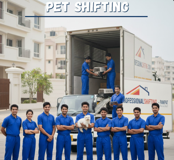 Pet Transport Rohtak